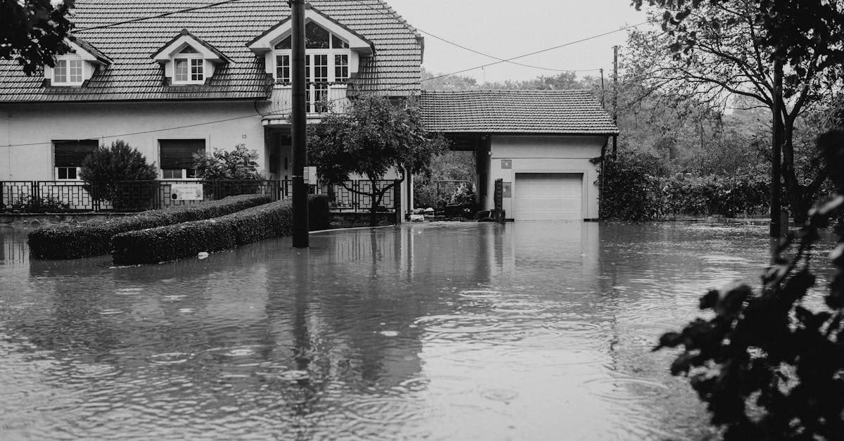 Cover Image for Storm Surge vs Wind-Driven Rain: A Critical Coverage Distinction
