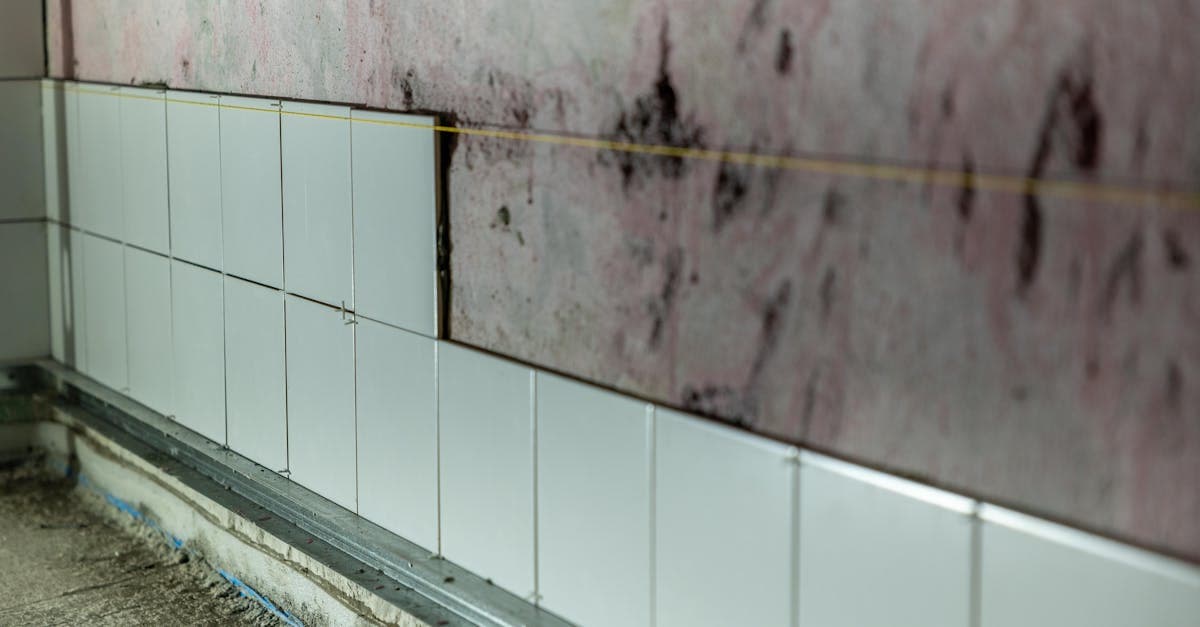 Cover Image for Mold From a Leaking Roof: Is It Covered by Homeowners Insurance?