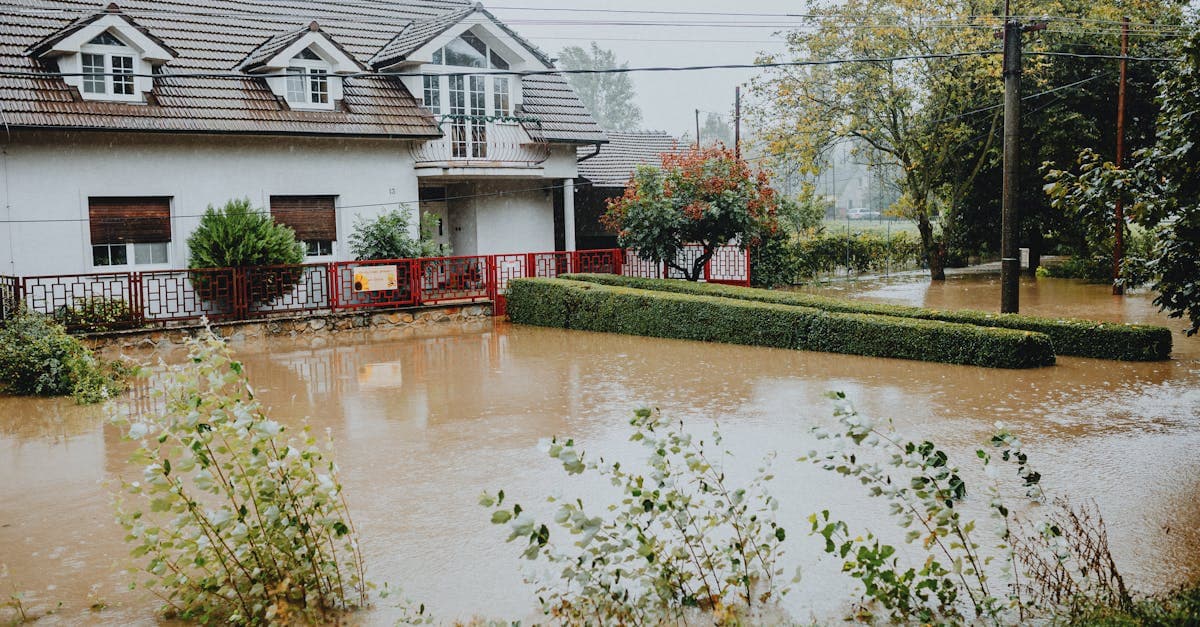 Cover Image for Storm Surge and Homeowners Insurance: Why Coastal Flooding Is Not Covered