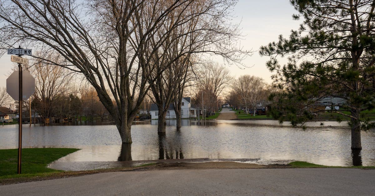 Cover Image for Flood Insurance and Mortgage Requirements: When It Is Mandatory
