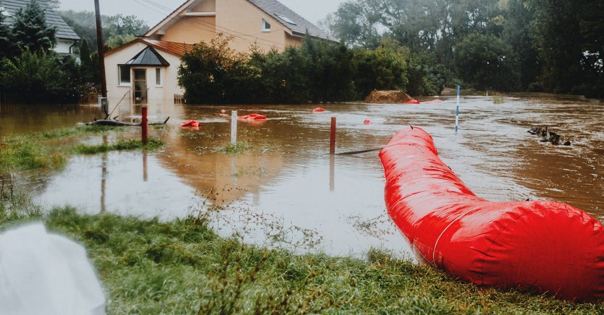 Cover Image for Precious Metals and Valuables: Flood Insurance Exclusions for High-Value Items