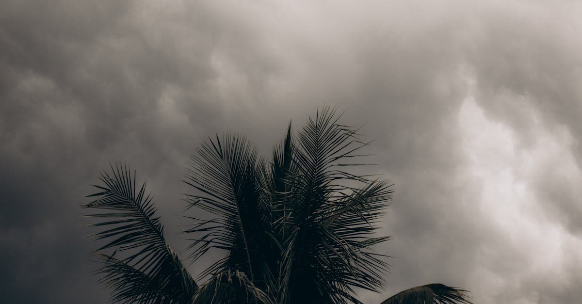 Cover Image for Hurricane Deductible Stacking: Separating Myth From Reality