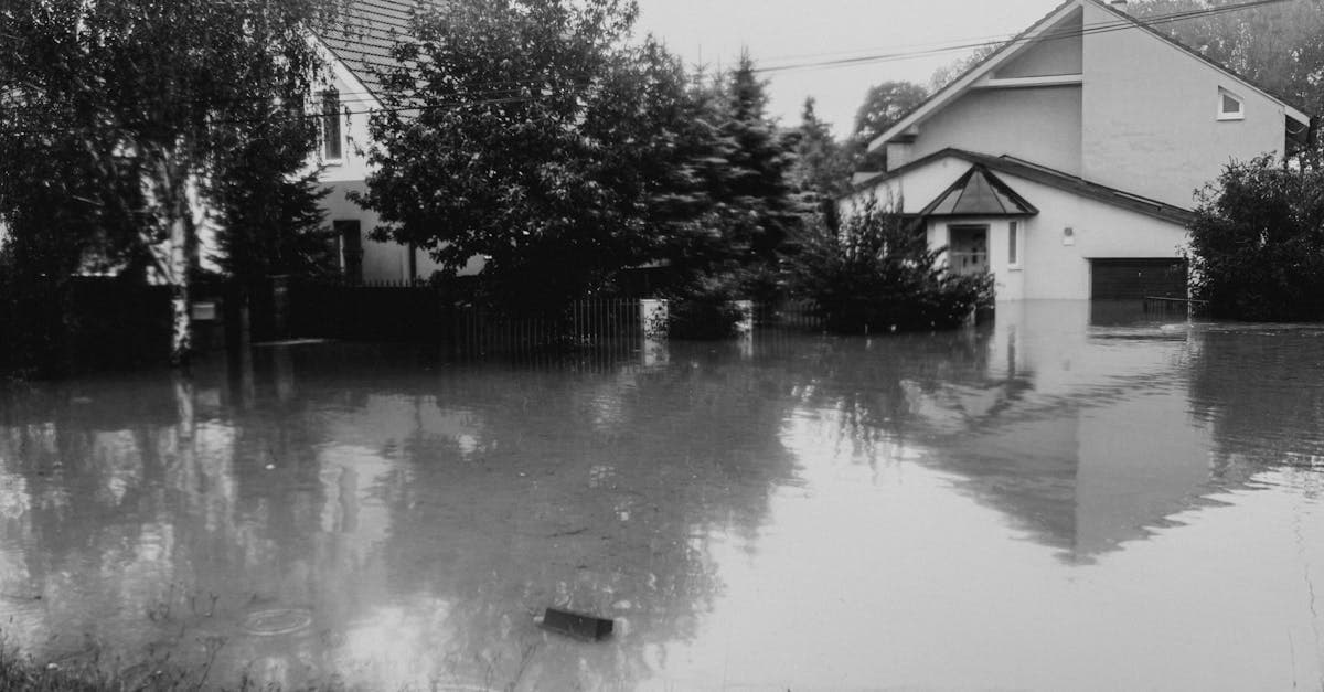 Cover Image for Private Flood Insurance for Moderate-Risk Zone Homeowners