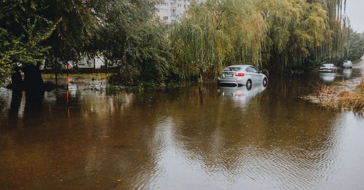 Cover Image for High-Rise Condo Flood Insurance: Do Upper Floor Units Need Coverage?
